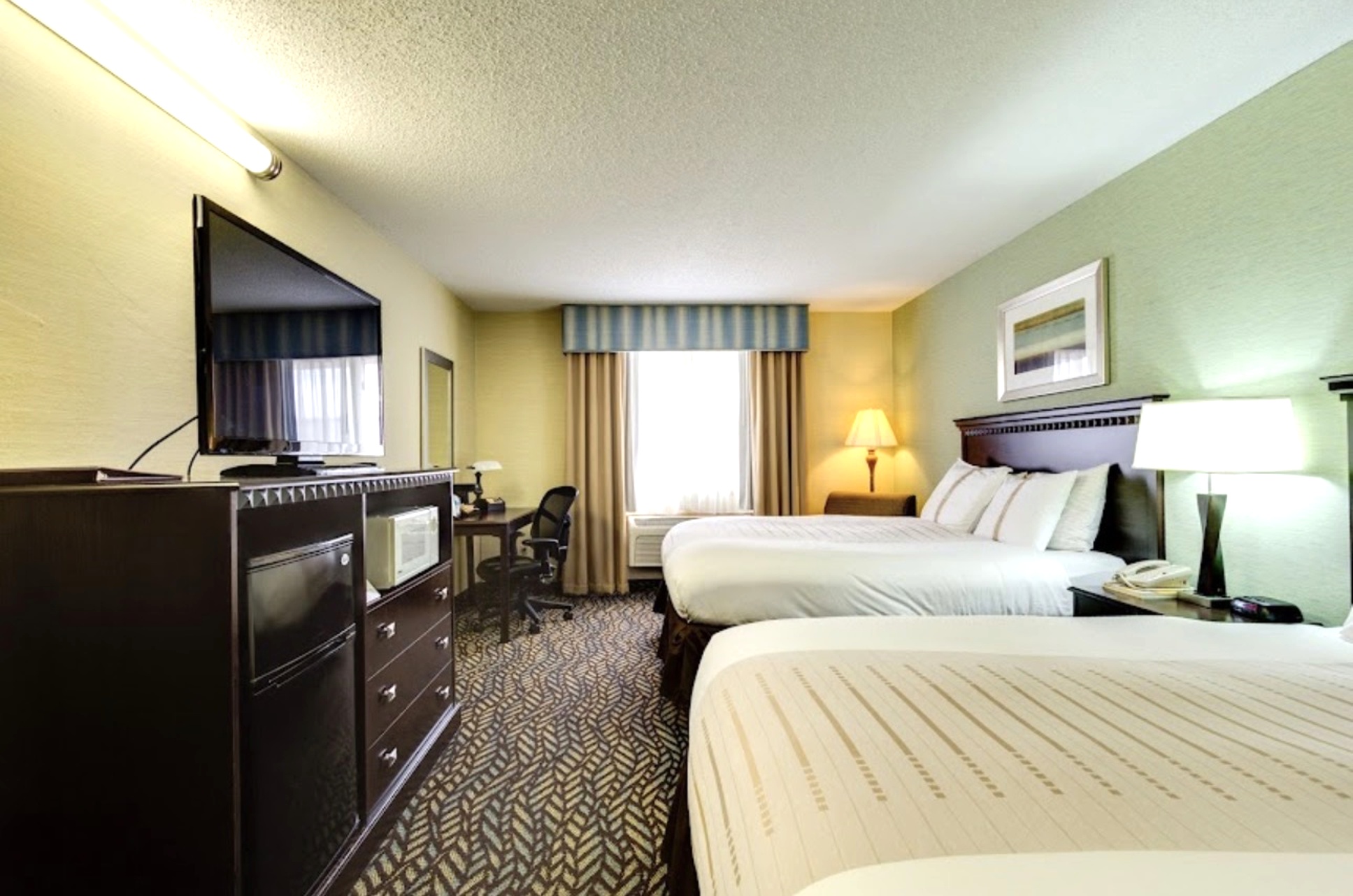 Two queens Pets room